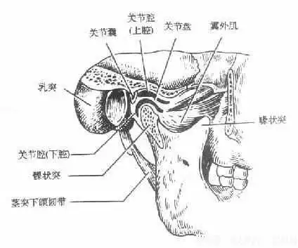  患颞下颌关节炎怎么办