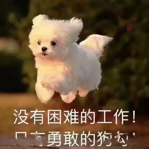  沙雕表情没有困难的工作,只有勇敢的打工人