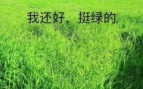  大多数人都做不出来的小学生题目
