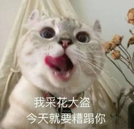  外卖狼人杀,谁是狼人