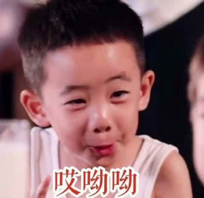 最火表情包全套小小少年