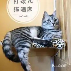  电话,地址,价格,营业时间图长春宠物