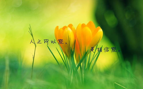  2018安徽教师招考高分技巧教育综合知识记忆术