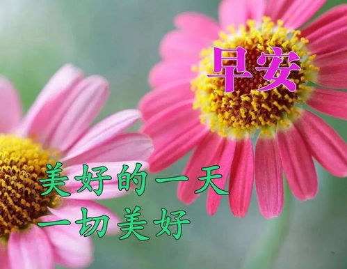  夏季早上好问候语图片大全暖心早上好微信动态表情图
