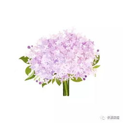  世界上最美的告白是用花语告诉你我爱你