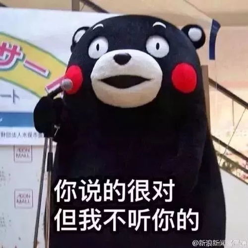  关于行政诉讼案件相对集中管辖,你想知道的都在这儿