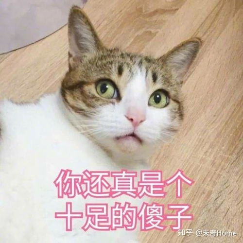  有哪些适合情侣之间的表情包