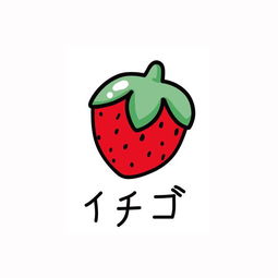  平台运营运动兴趣类