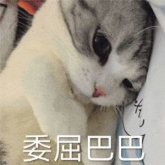  二哈和他的白猫师尊究竟有多意难平