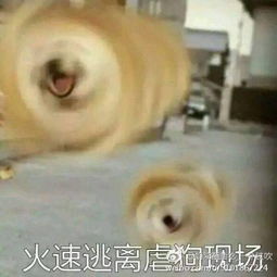  人家拿小拳拳捶你的胸是什么梗,男友哭晕,网友笑死