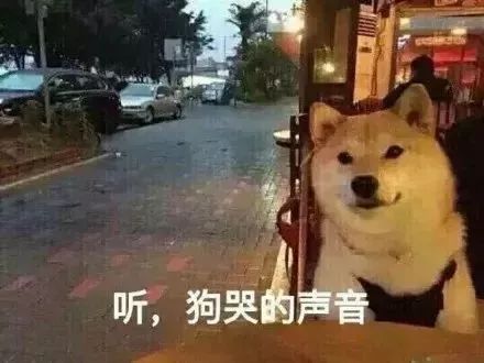  你妈逼你相亲了吗春节如何怼死八卦熊亲戚的自救神技全在这里