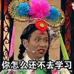  2017宋小宝同一个世界同一个妈表情包