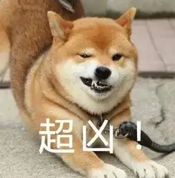  后悔不看丰台最嚣张的一次遛狗这事什么时候才能有个最佳答案