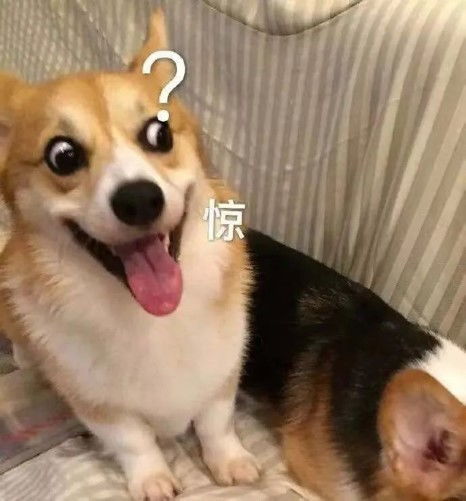  与印小天主动交流,杜淳真的忘了几年前的插刀门吗