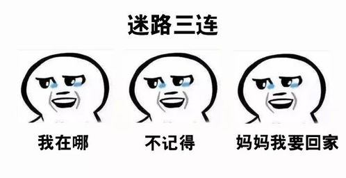  据说用过这套三连表情包的,都看到了不一样的美景
