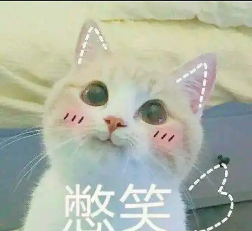  我非常喜欢猫,但我从不养宠物