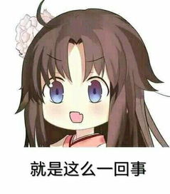  然后将行车记录仪的存储卡内容考下来