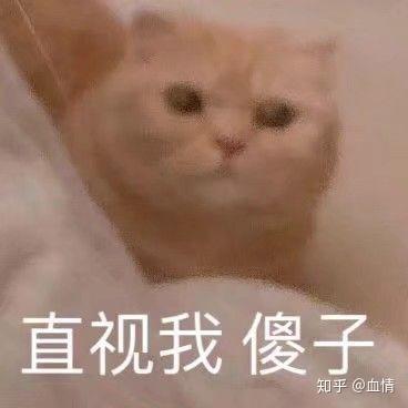  蒙医心身互动疗法是骗局吗