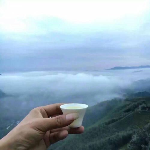  满天星云下,感到无边的落寞路还江南柳爱情