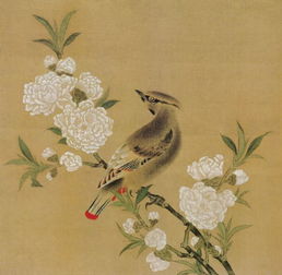  一本书看懂中国画里的花鸟意外