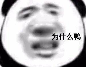  今日表情包,211