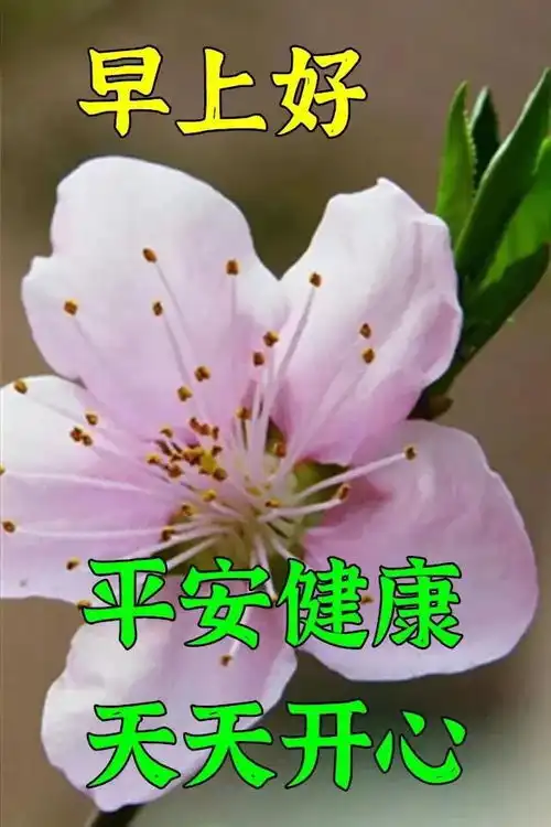  2021年11月3日上午好动态图片表情包大全,秋天最新美图大全