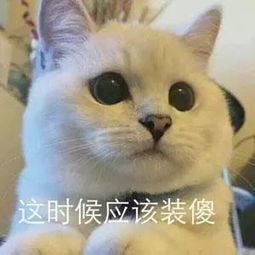  e句话看天下丨郎朗东北话教钢琴的样子太魔性了
