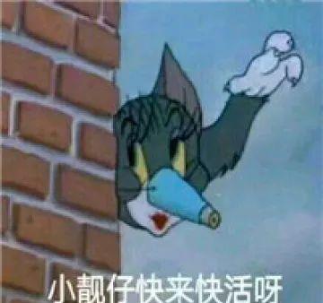  身为铲屎官每天必做的事,看看你有没有中招呀