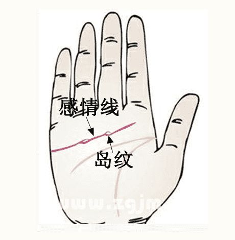 微信头像2025最新款图片
