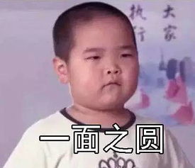  表情包也不想这么累,但是没人关心它们是不是开心