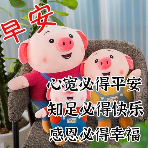  6月12日最漂亮早上好动态表情图片大全,早晨好动图美图大全