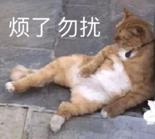  菌菌的外卖出逃记