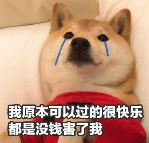  开心一刻段子女孩子过生日,我发了个红包,第二天就给我拉黑了