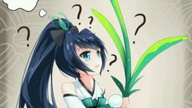  出一条阴阳师咸鱼号