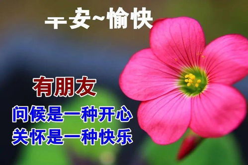  早上好漂亮表情祝福图片,平安祝福早上好问候祝福语