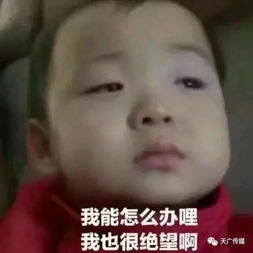  天长人新年好这是你们的2017年终总结