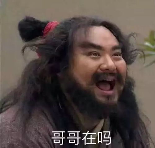 画圈圈表情包萌系张飞
