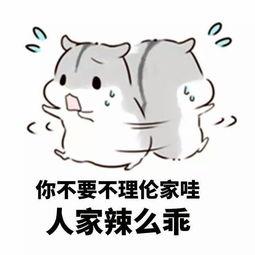  适合情侣聊天的表情包来了除了我以外的男人,都是坏男人