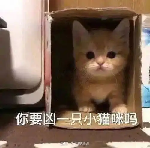  好价全新星巴克对杯和扫地机器人