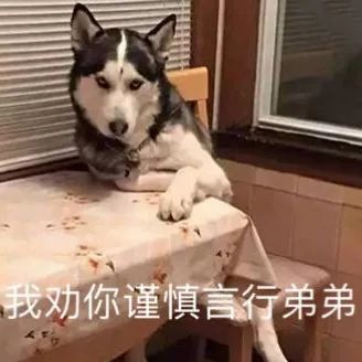  表情包我就是要明目张胆的喜欢你,不然是要怎样啊