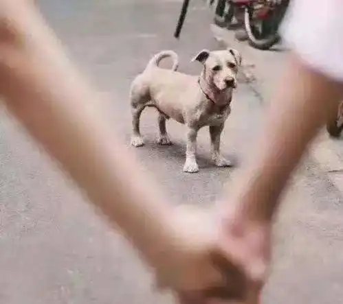  广东首批00后开始结婚90后却已经在养老了......