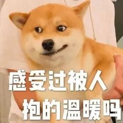  七夕的样子陪你立黄昏,问你粥可温沸话