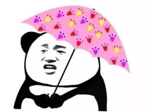  骗这里的美女有毒