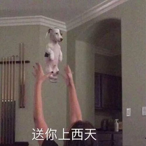  女票想生气,分分钟都可以有理由说中的举手