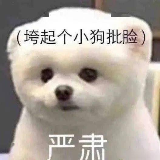 谁喝酒谁是狗表情包理发