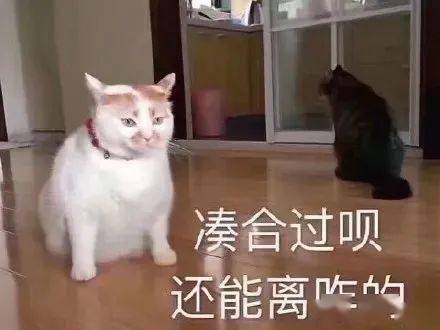  情人节聊天专用表情包,拿走不谢