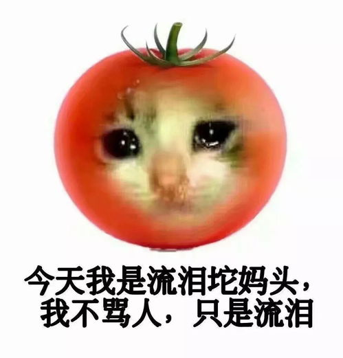 草莓酱表情包骂人