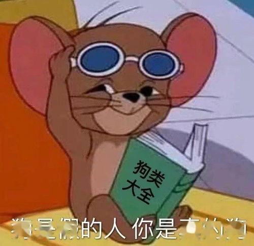  千万不要轻易打开沙雕段子合集哈哈哈笑死我对你有什么好处