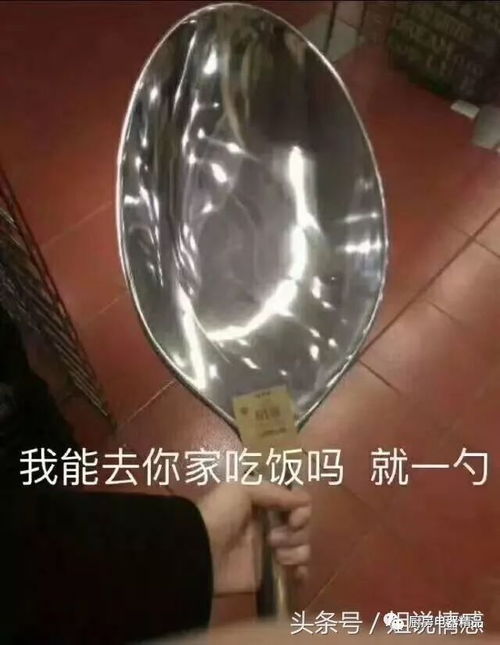  幽默搞笑动图