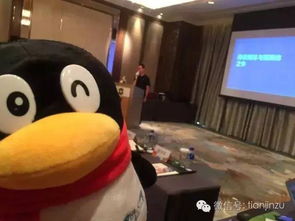  企鹅日记天津网红都来齐了,好大阵仗
